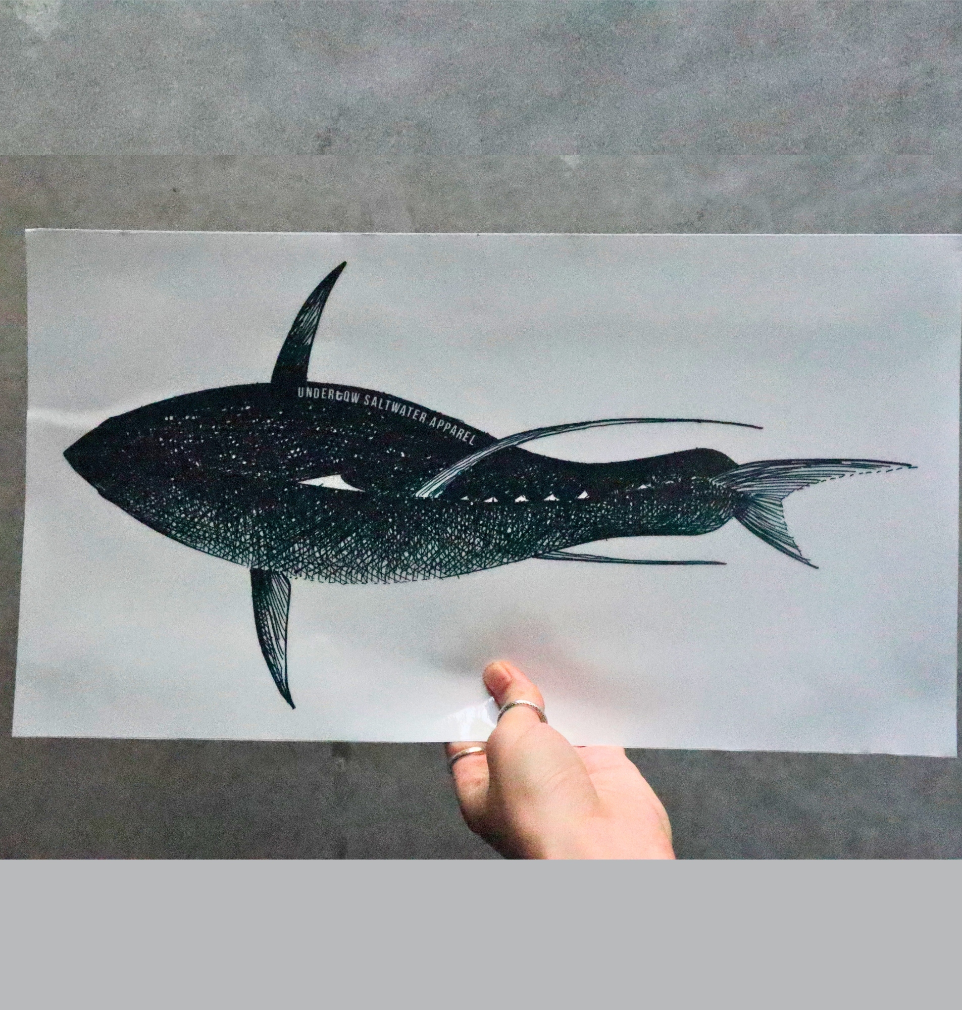 Sketch Art Series Tuna Sticker